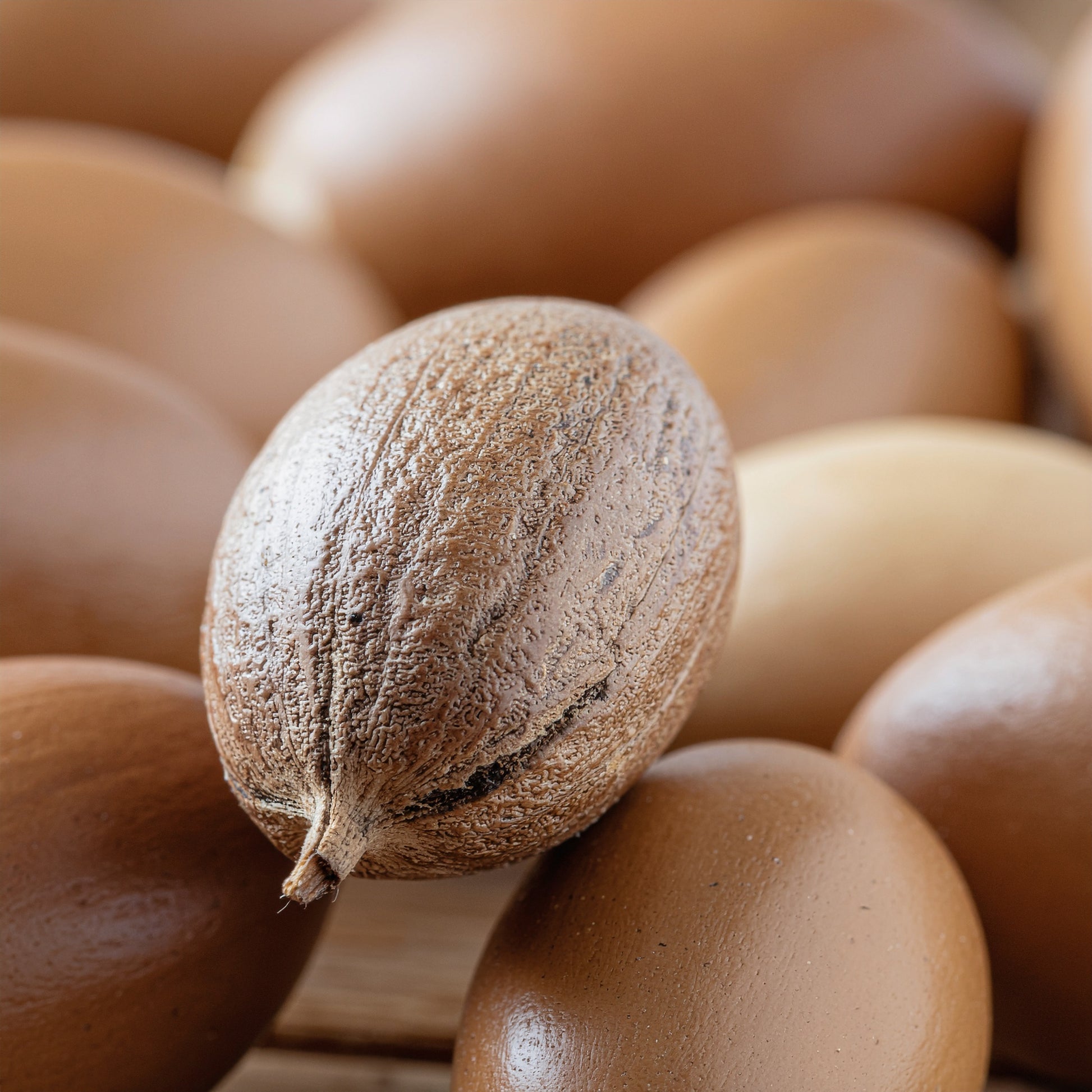 Hydrating Aloe Conditioner | VAYL SmoothFinish Melt