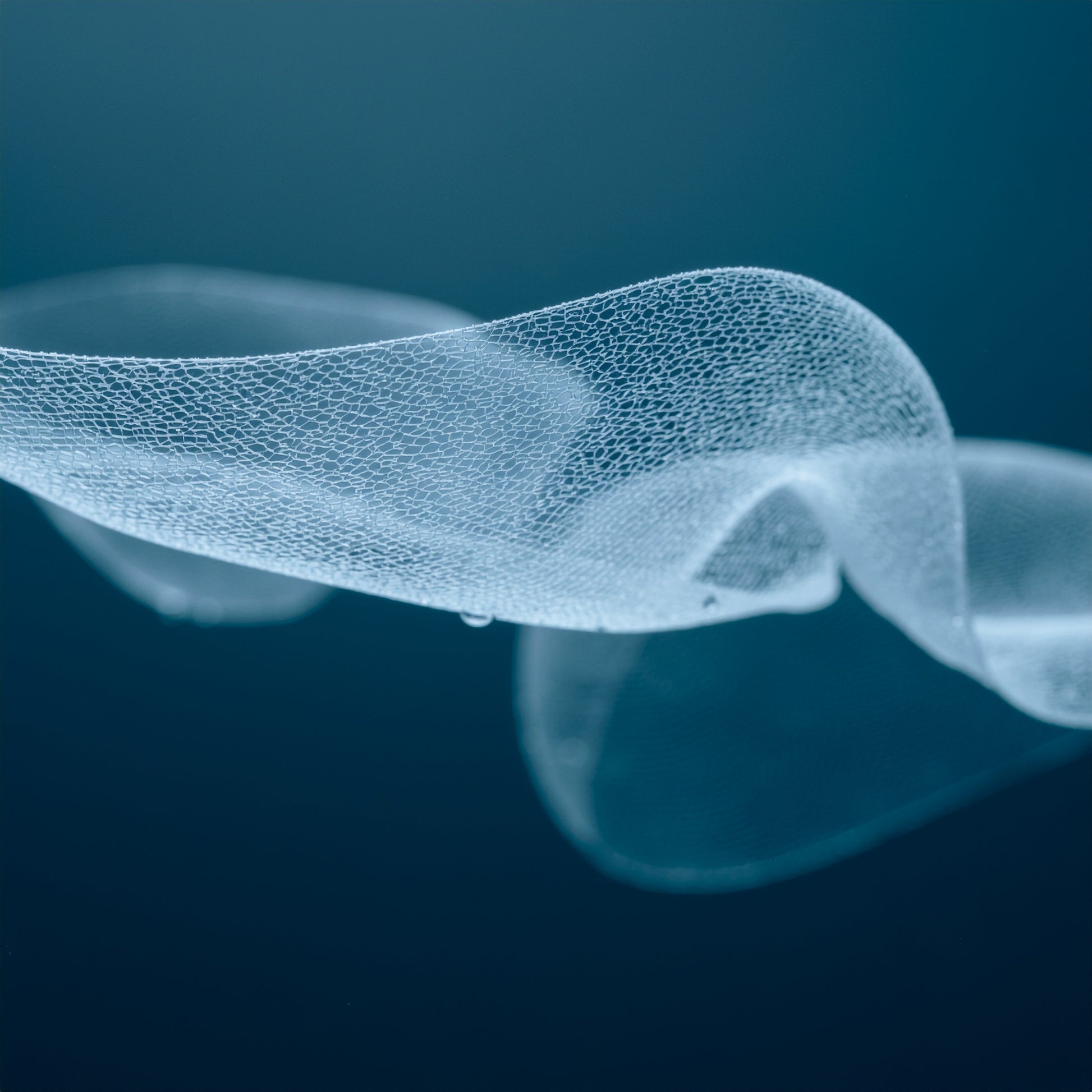 Prebiotic Hydration Veil | VAYL SkinHarmony Mist