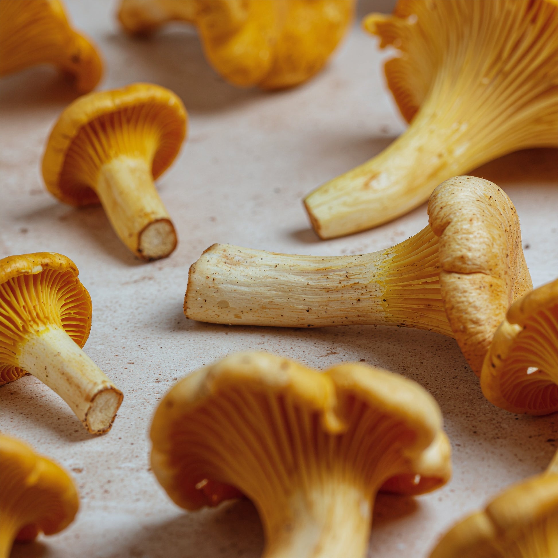 Keratin VolumeLift Conditioner | VAYL BoostWash Finish