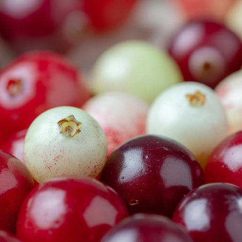 5% Glycolic Resurfacing Toner | VAYL ClearRefine